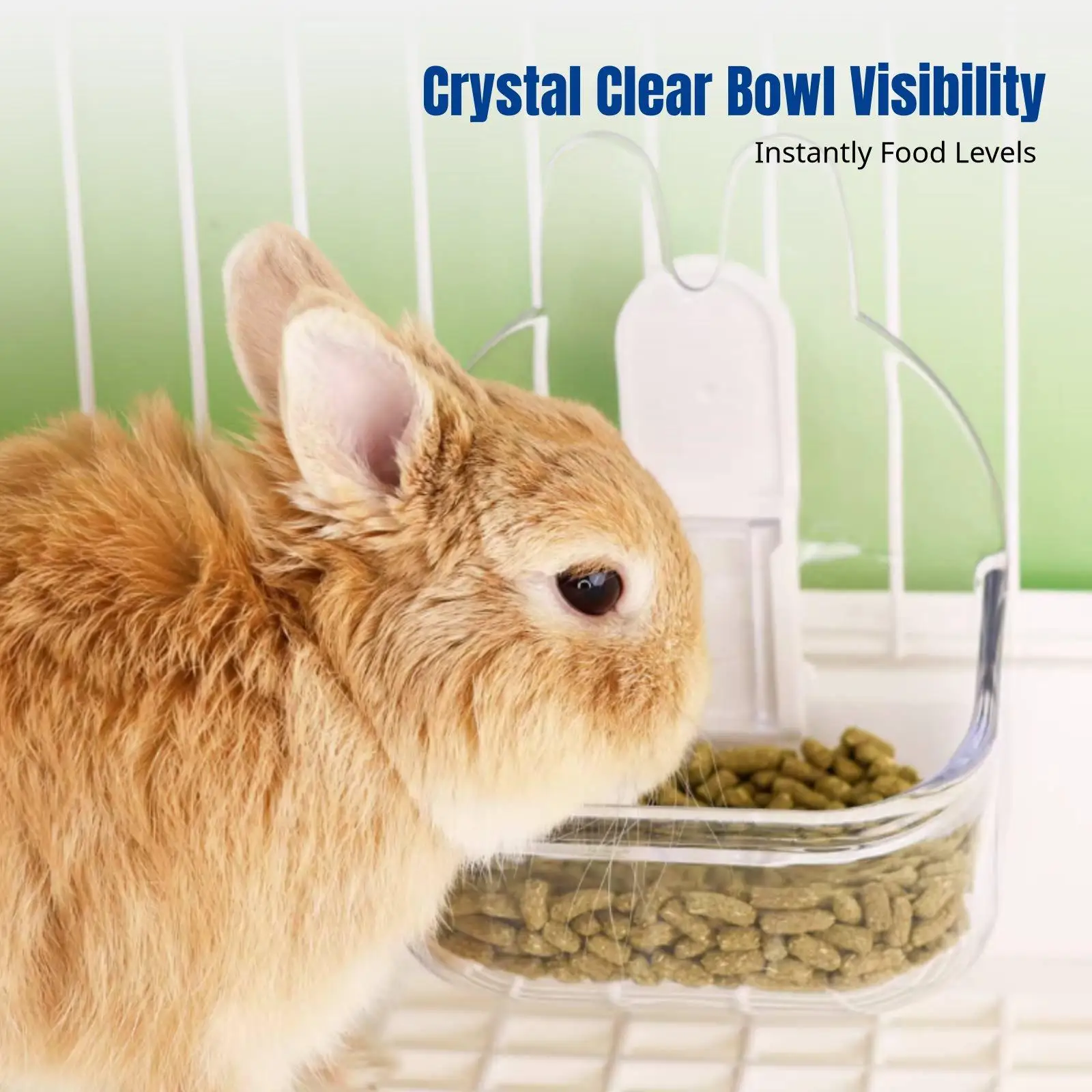 Ergonomic Rabbit Eating Bowl for Bunnies with Transparent Window Chew Resistant Detachable Cross Buckle Design