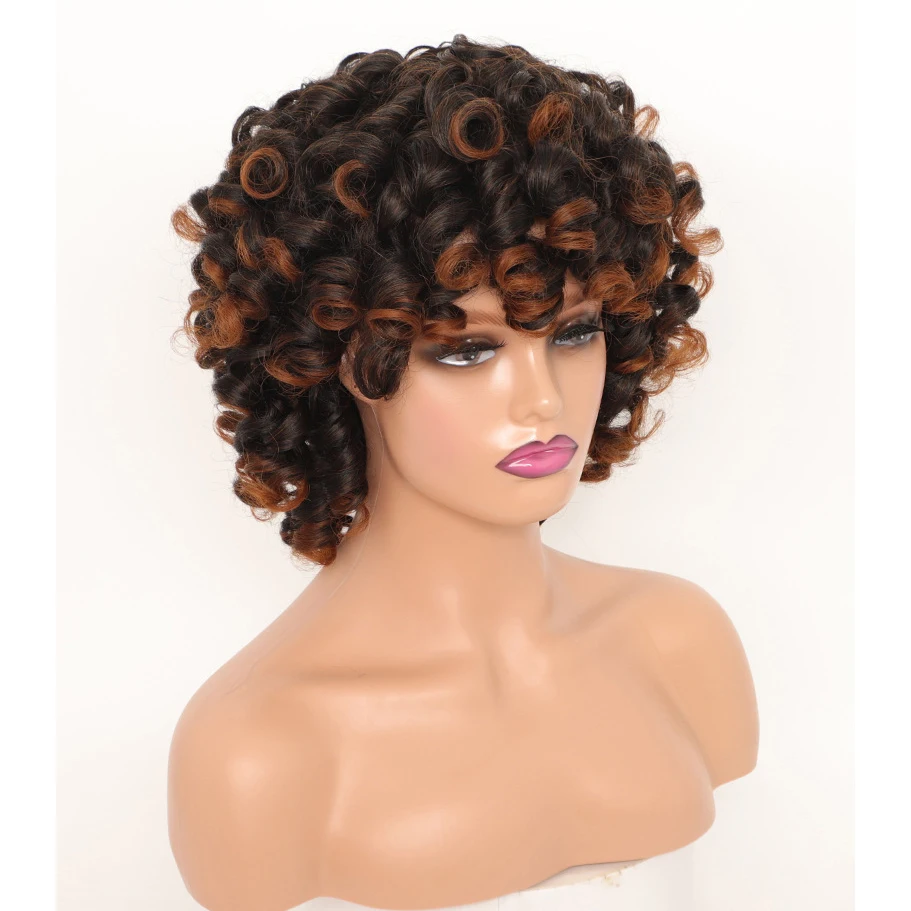 MSIWIGS Women's Short Black Ombre Brown Wig