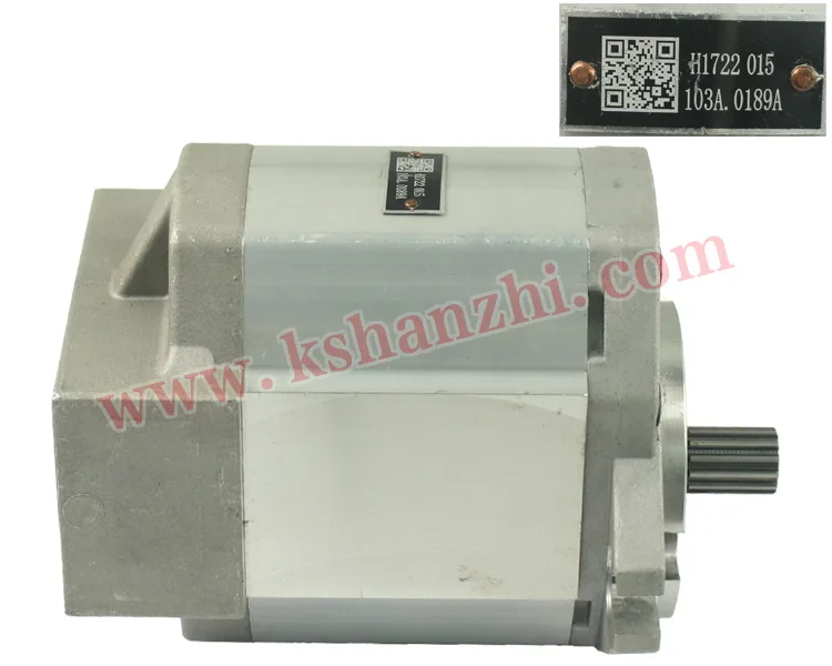 Hanzhi Forklift Parts A-HP00-103A-0189A Hydraulic Pump for FD40~50-4/-5/6D95L, 100% Premium