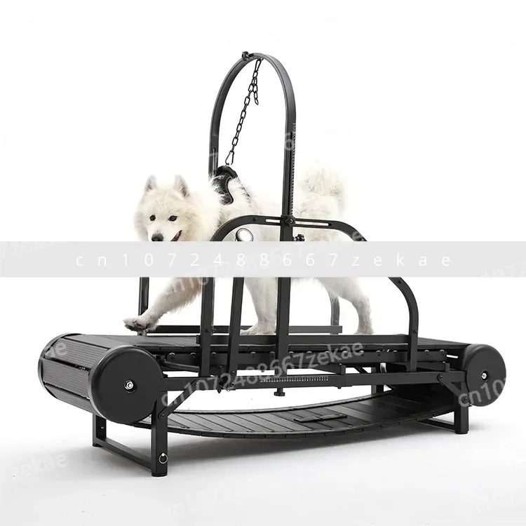 

Бестселлеры беговой дорожки для собак для больших собак, машина для бега собак, для здоровья домашних животных, фитнеса, бега, оборудование для упражнений, лепестковая мельница