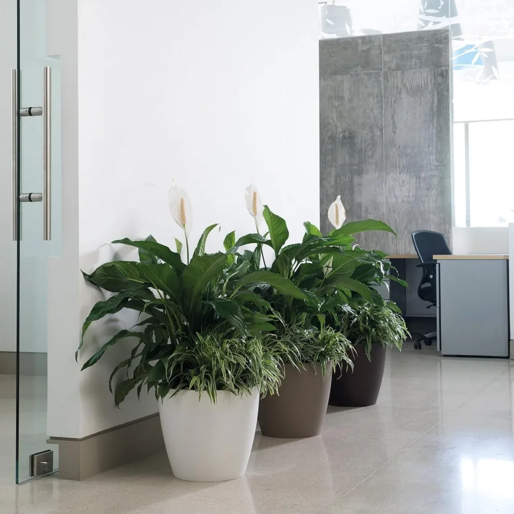 مجموعة أواني نباتات بنية حديثة مكونة من قطعتين - مزارعات داخلية بنية حلوى لزنابق السلام ونباتات الصبار والنباتات المنزلية الأخرى