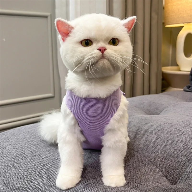 Anti-lick Recovery Clothing After Surgery Spring Summer Cat Sterilization Pet Cats Weaning Clothes Small Dog kitten Jumpsuit