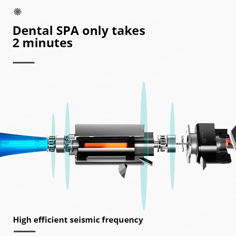 Tongwode 電動歯ブラシ 大人用 ソフト毛 ポータブル バッテリー E802 耐久性 IPX6 防水 インテリジェント 効果的