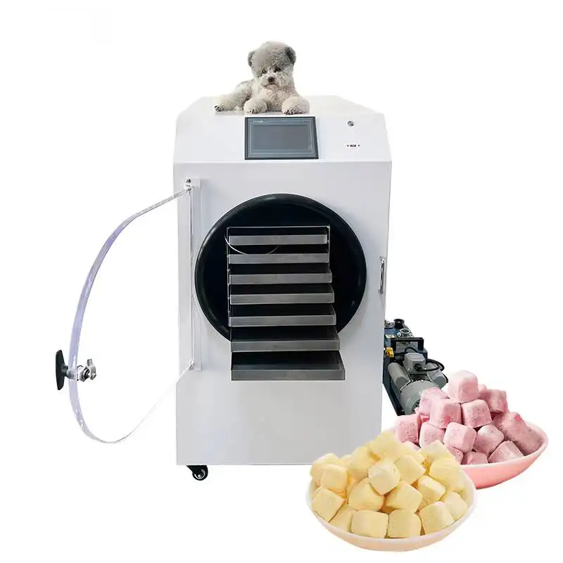 Small Stainless Steel Freeze Dryer with Vacuum Pump-Energy Saving 6kg Capacity for Food Processing Fruits & Pet Rations
