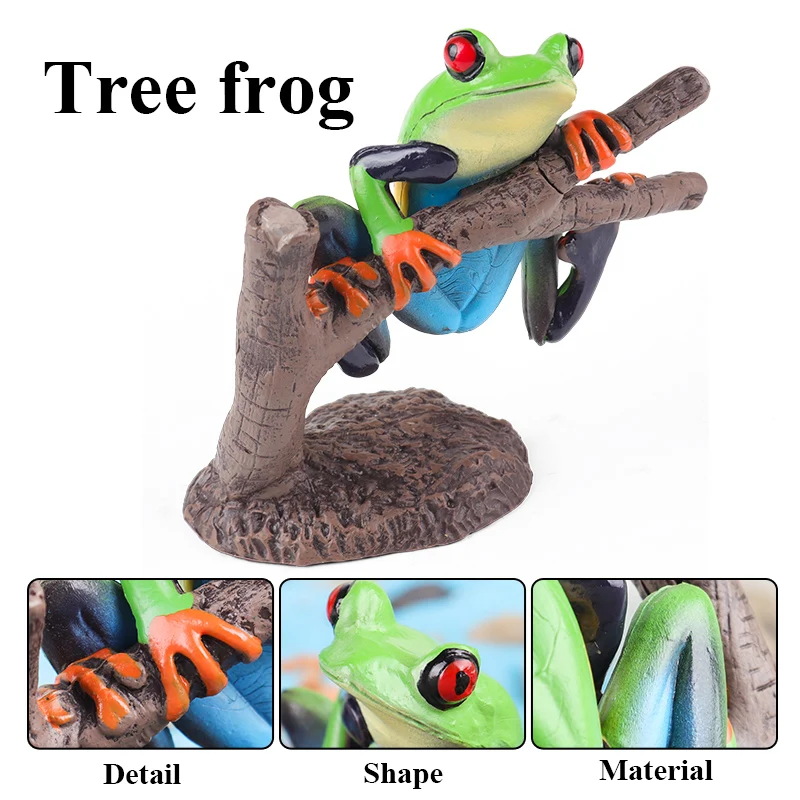 Oenux Wild Animals Bullfrog Model Simulation Tadpole Hatch Frog Growth Cycle Action Figures PVC Cute Educational Toys Kids Gift