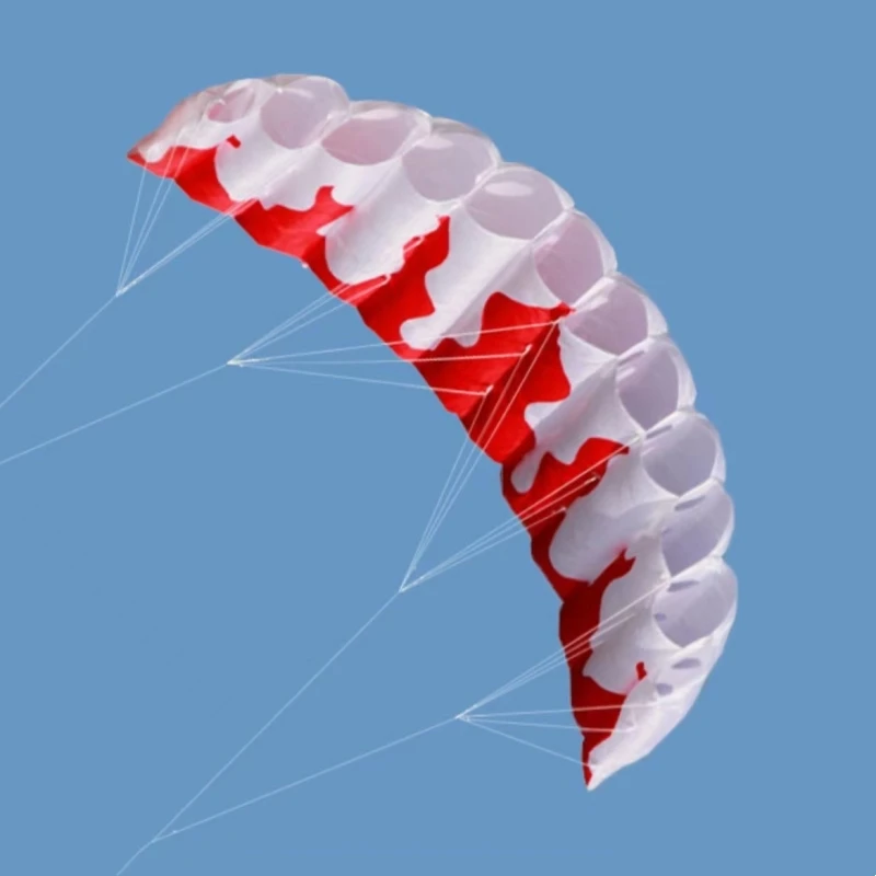 Nieuwe beginner kitesurf dual Line Stunt power Kite voor volwassenen kite parafoil parachute surfen sport vliegers professionele kite serieel