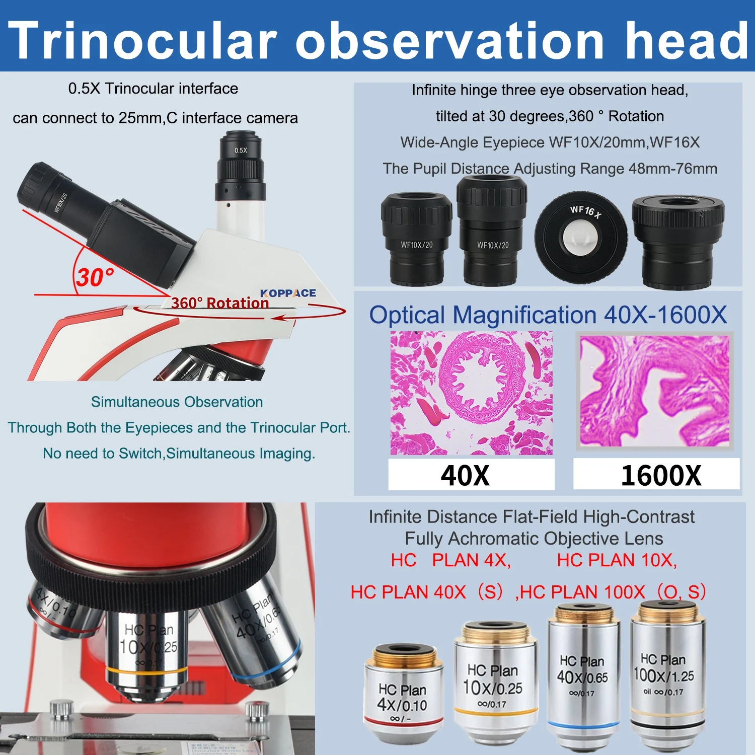 Mikroskop Elektron Laboratoriu - Microscope Compound 40X ulasan dan harga