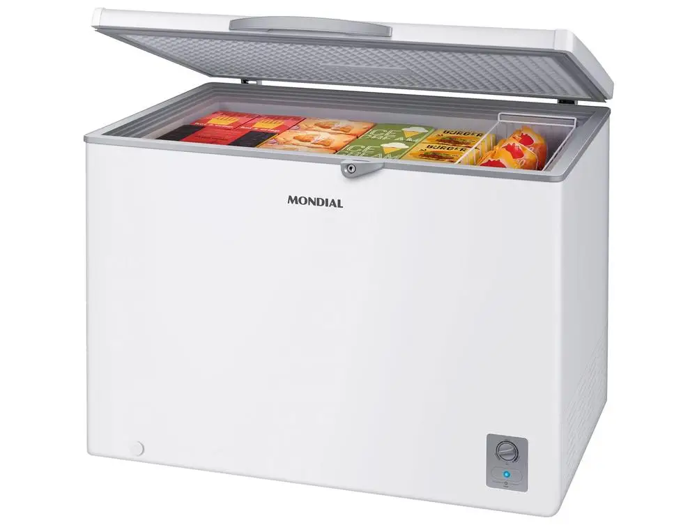 Congélateur Bosch Série 6 - 289 L - NoFrost - Énergie C - Blanc - Parfait Pour Famille