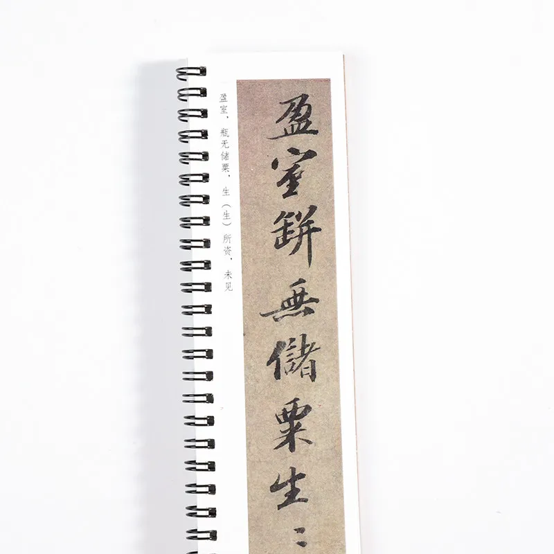 Calligraphy Brush Pen Copybook Su Shi Running Script Copy Writing Book Close Range Chinese Character Cards Tracing Practice Book