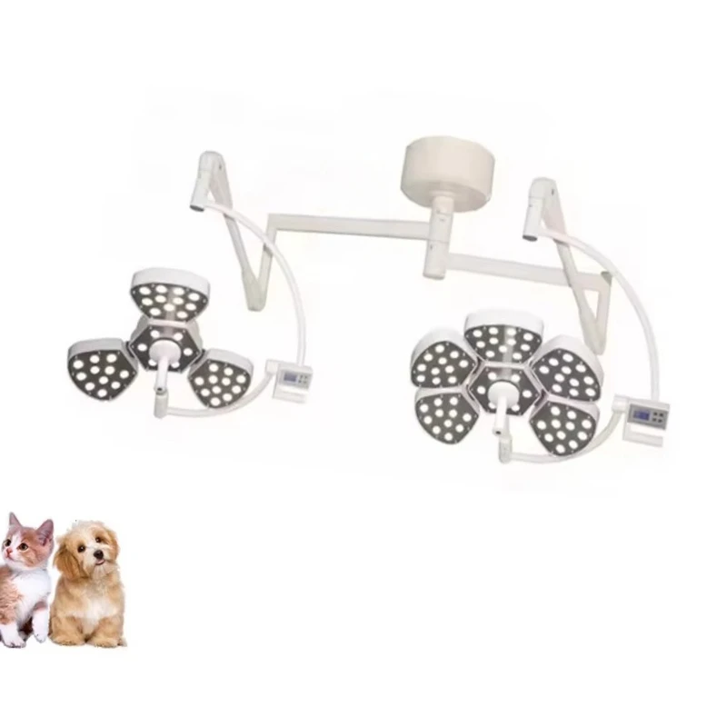 

Double-head Shadowless Led Surgical Light Clinic Examination Lamp Fine Processed Veterinary Surgical Instruments for Animal Care