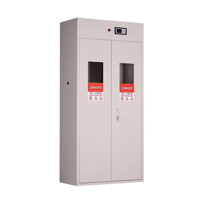 Laboratory All-steel Explosion-proof Gas Cylinder Cabinet Single Bottle Double Bottle Intelligent Exhaust Liquid Gas Cabinet