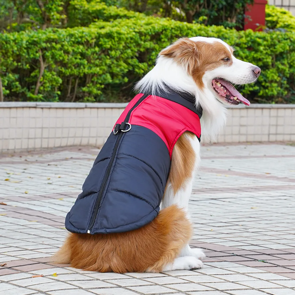 Roupas de inverno para cães, colete acolchoado para cães pequenos e grandes, roupas para caminhada ao ar livre, golden retriever, roupas para animais de estimação, acessórios para cães