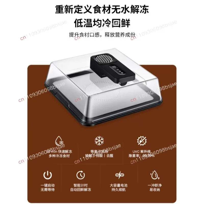 Extremely fast fresh thawing device, quick thawing artifact for kitchen ingredients