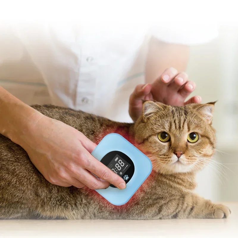 

Veterinary Pet Care Dog Cold Maser Optical Therapy Fixable Pain Relief Physiotherapy Equipment factory