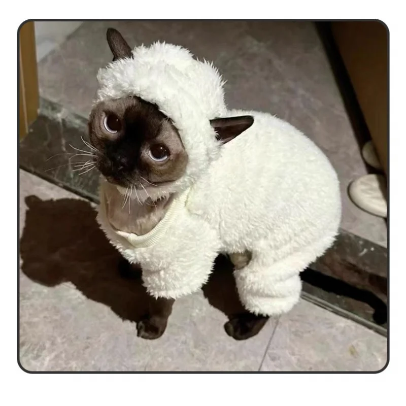 hairless cat clothes | cat fashion | Sphinx cat clothes | winterwear | double-sided fleece cotton coat