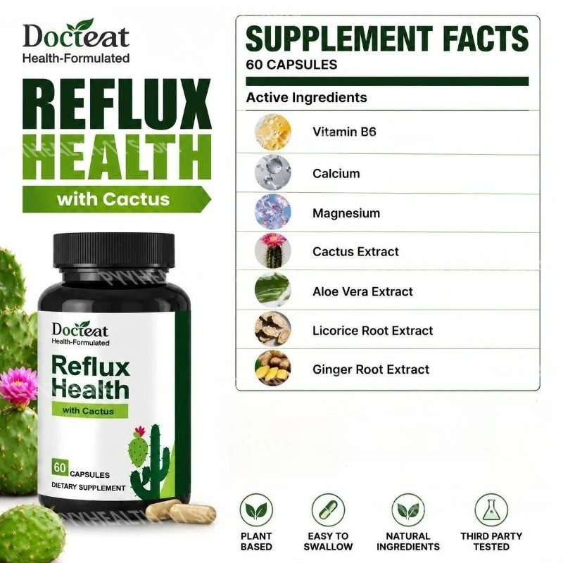 Docteat Cactus Comfort Focus Capsules with Aloe Vera Extract & Ginger Root, Balanced Digestive Comfort Support, 60 Capsules