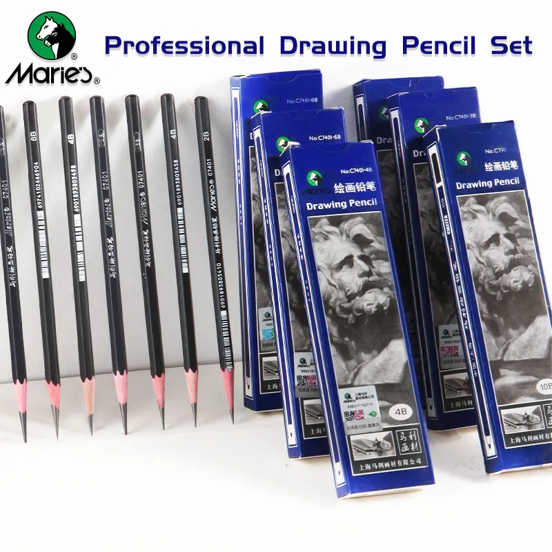 12pcs Marie's Professional Pencil Set for Draw Sketch Layering & Shading ,Art Graphite Supplies for Adults Beginners & Artists