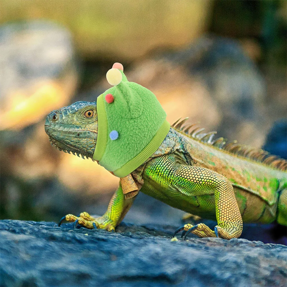 

2Pcs Reptile Hat Funny Design for Bearded Dragon Lizard Gecko Snake Parrot Hamster Lightweight Pet Cap Cosplay Accessory Small