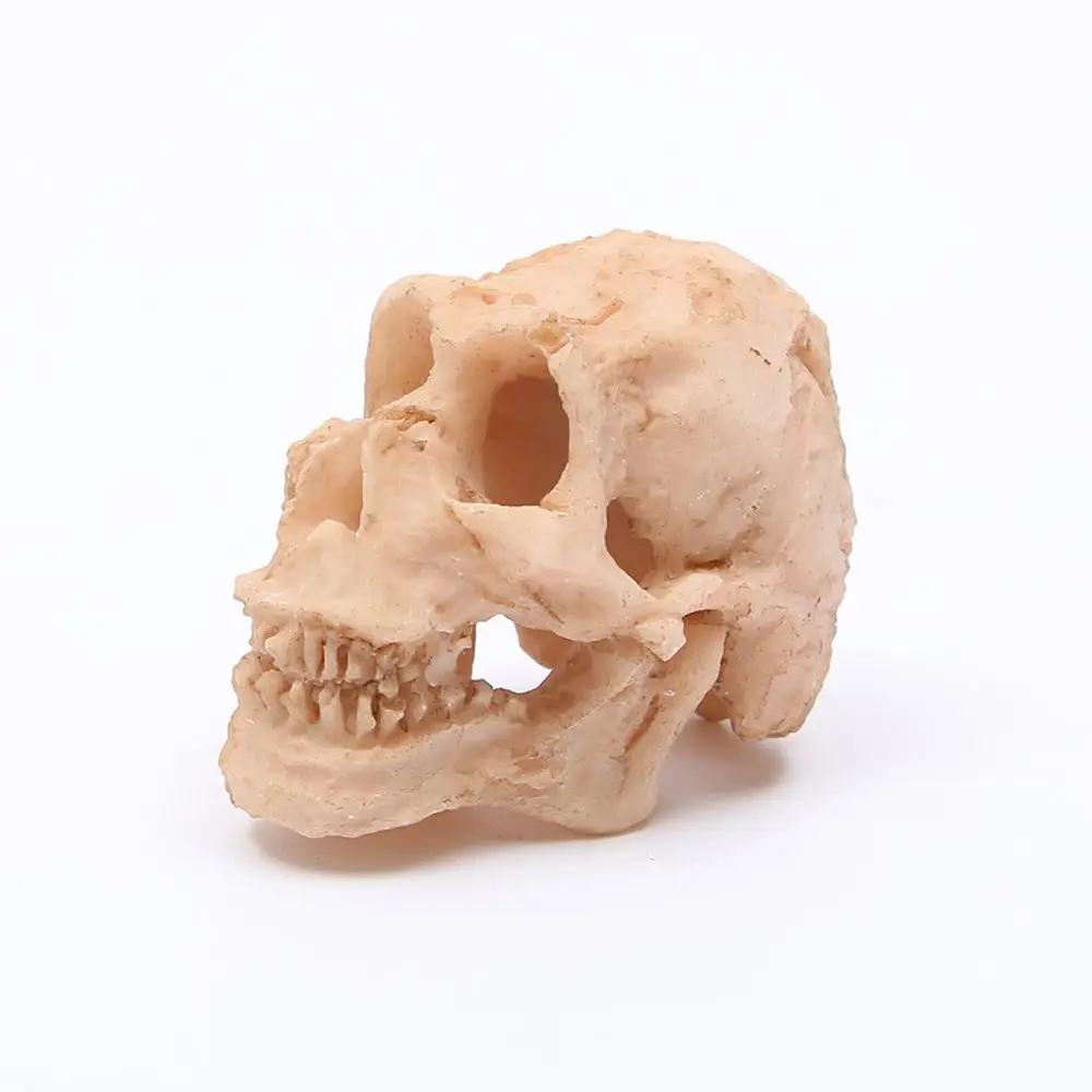 

Design Artificial Skull Bones Synthetic Resin Fish Tank Decoration Decorative Landscaping Aquarium Landscape Aquarium Decor