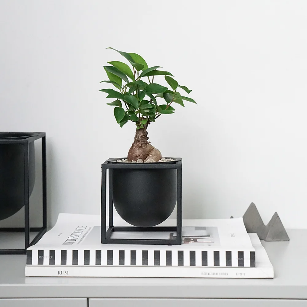 

Nordic ins: black and white iron frame desk combination potted small green plants to purify the air