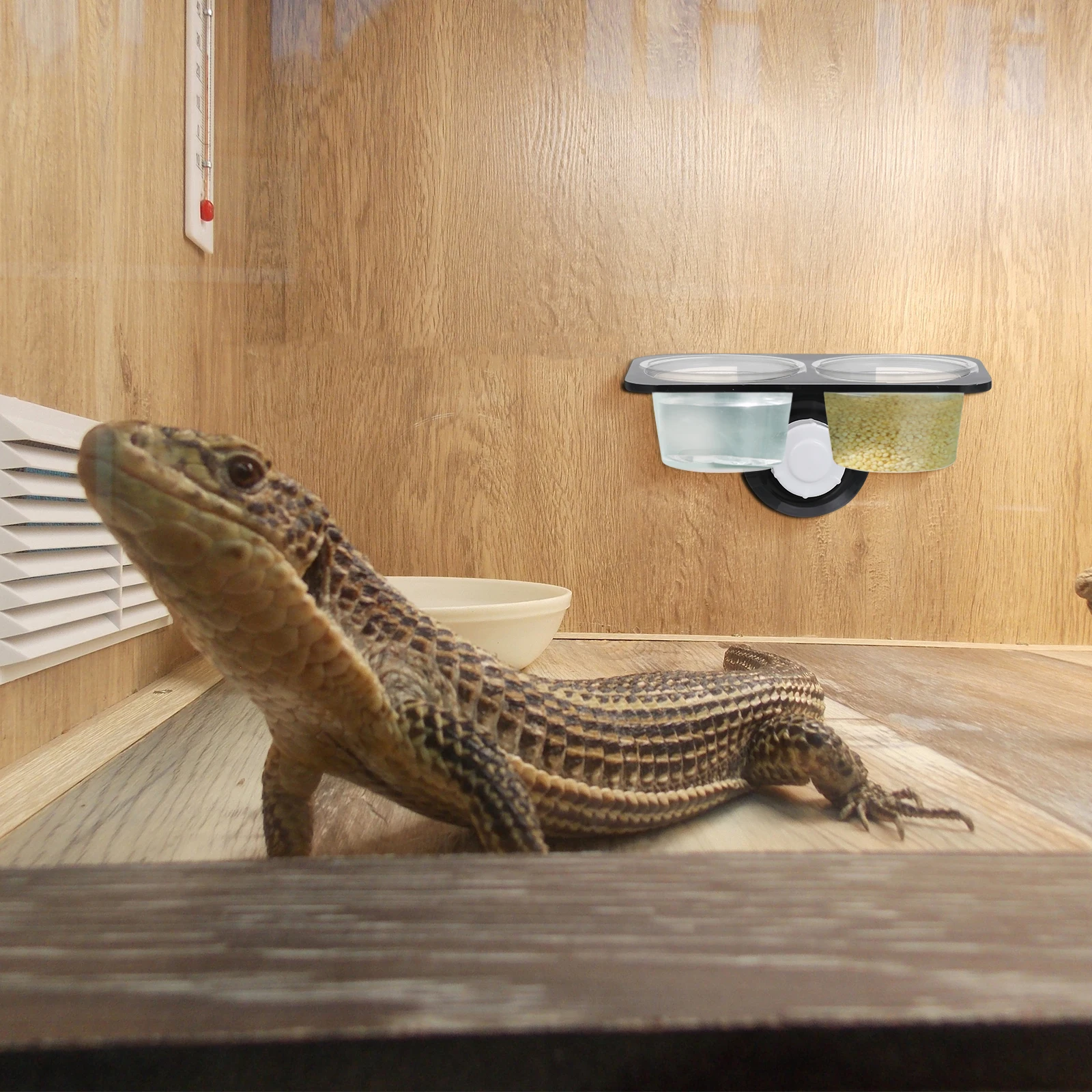 

Reptile Feeder Bowl Suction Cup Mount Food Water Container For Gecko Lizard Turtle Chameleon Scorpion Glass Acrylic