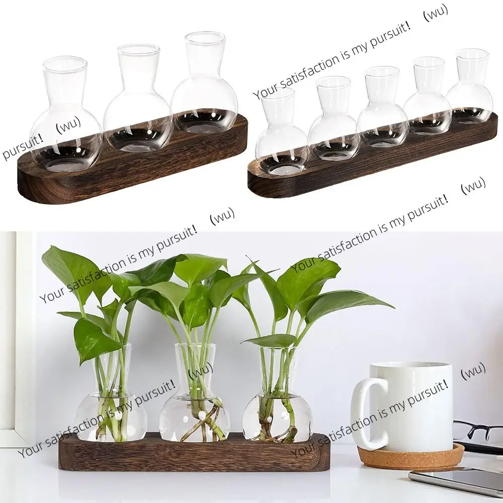 

Стеклянная сферическая ваза для растений с деревянным поддоном для украшения гостиной и офиса