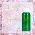 Cherry Blossoms