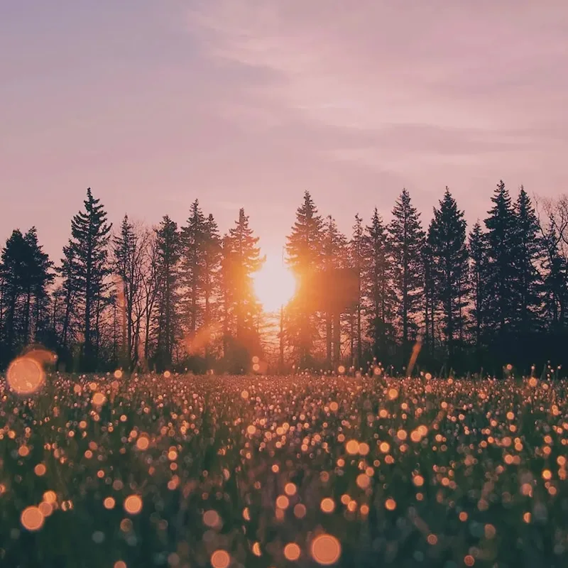 EWIND untuk Kamera IP/Wireless AP AI Smart Switch outdoor rumah NVR Gigabit POE Switch 8 Port 10/100/1000Mbps dengan 2 Port Uplink