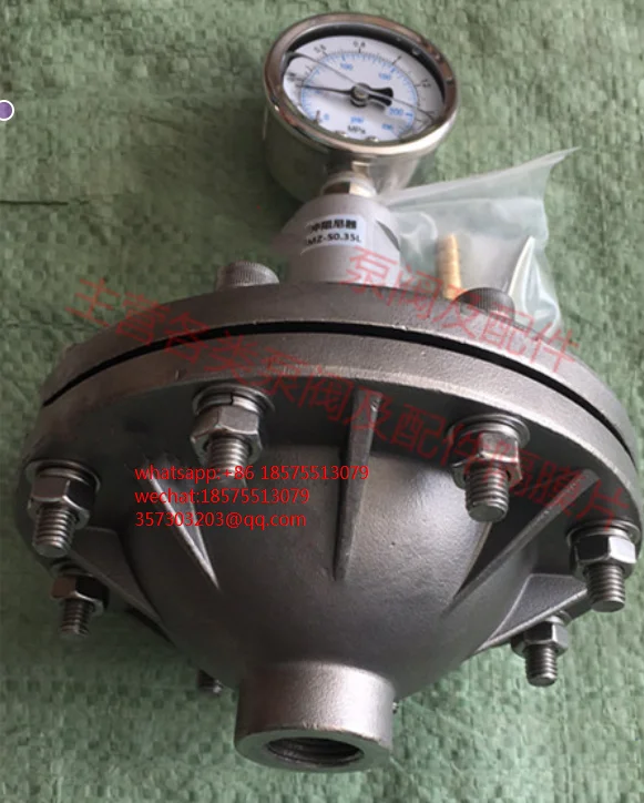 FOR Diaphragm Type Pulse Damper 304 Stainless Steel Pulse Damper Ripple Buffer Eliminates Line Pulsator 1 PIECE