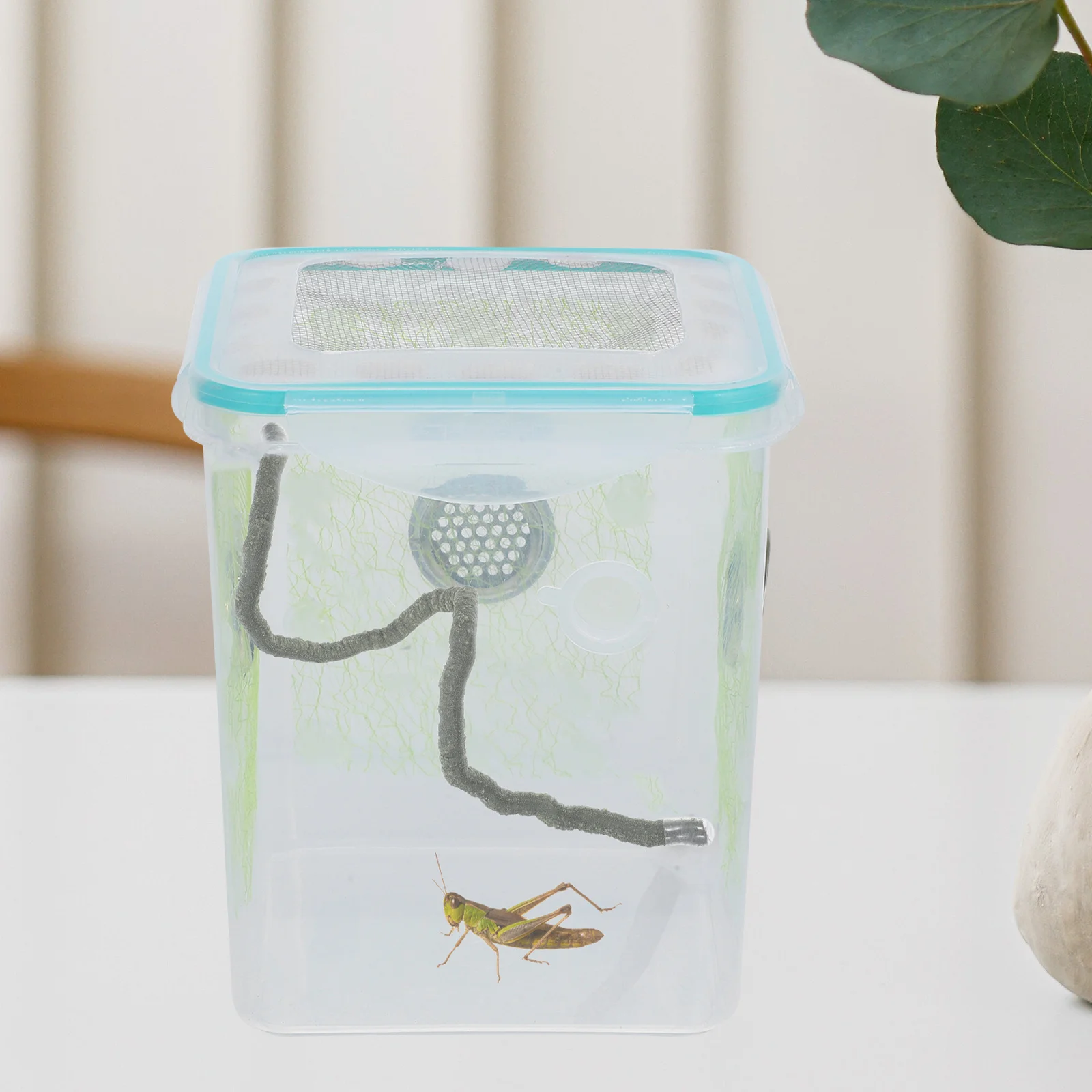 

Realistic Artificial Vine Climbing Decor For Reptile Lizard Snake Hermit Crab Tank Accessories Fake Plants Terrarium Branch