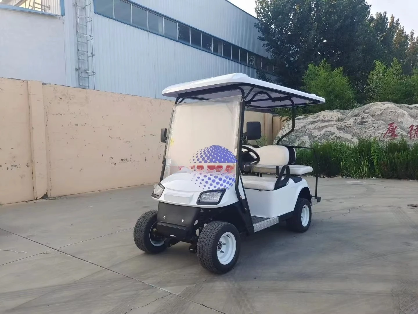 Rs New design style 4 + 2-seat 6-seat electric golf cart, suitable for resorts, with a speed of 50-70 km/h and a range of 70-90