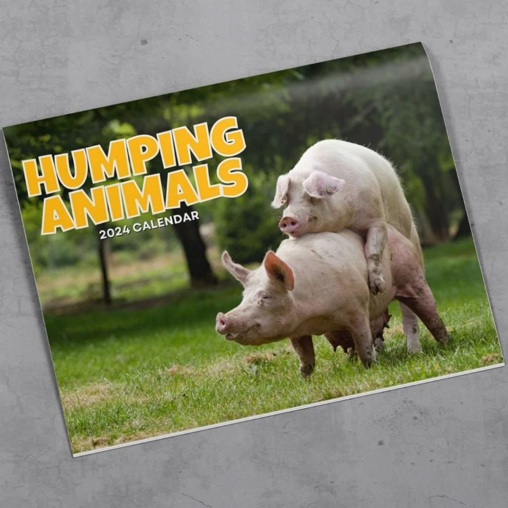 Humping Animals 2024 Calendar