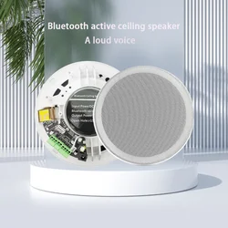 Haut-parleur de plafond étanche à l'humidité, amplificateur numérique de classe D intégré, compatible Bluetooth, haut-parleur actif pour audio intérieur, 6 pouces, 15W