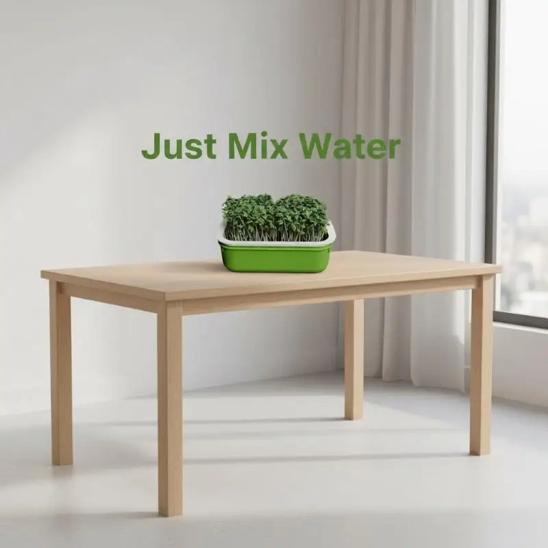 1Pcs Double Layer Germination Tray Plastic High Pot Grid Design Sprout Tray
