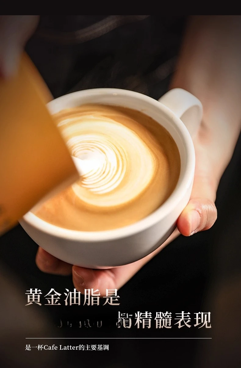 ماكينة طحن القهوة الباردة المدمجة الصغيرة شبه الأوتوماتيكية للاستخدام المنزلي #5