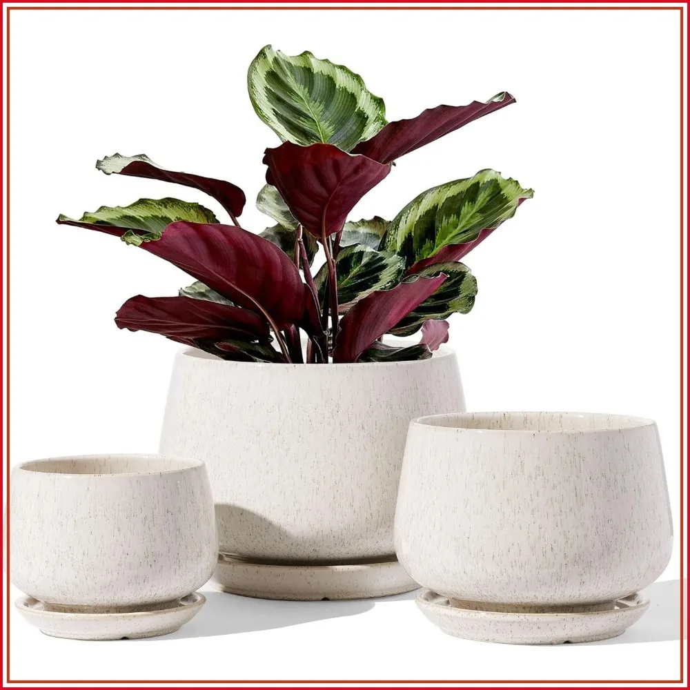 Set of 3 Ceramic Plant Pots with Drainage