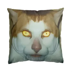 Aertemisi 18'' x 18'' Monday Left Me Broken Cat Mr. Peebles Square Throw Pillow Cushion Covers Cases Pillowcases 45cm x 45cm