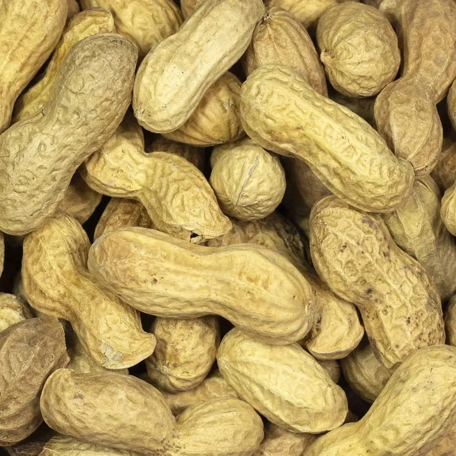 Orzeszki Ziemne Fistaszki 500g - close-up view