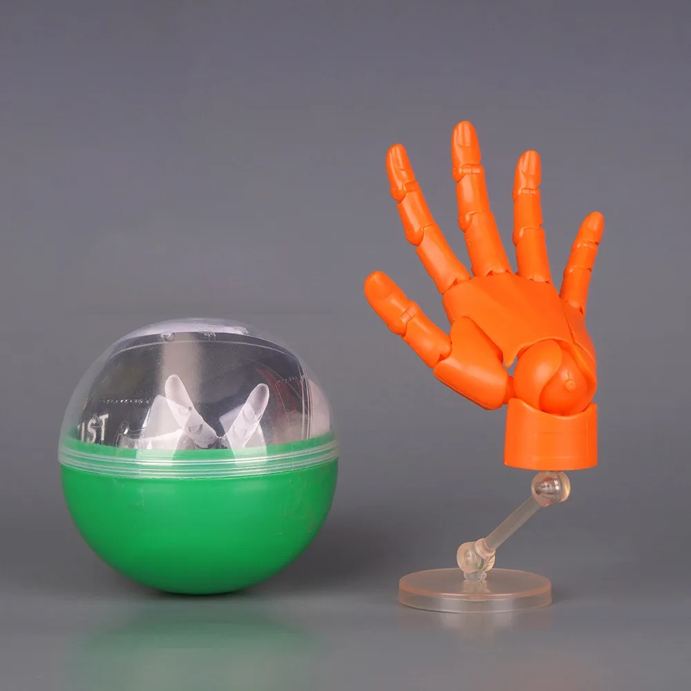 1:2 Scale Human Hand Model Mini Size Movable Joints Palm Model With Posable Fingers Twisted Egg Design Movable Finger Joints