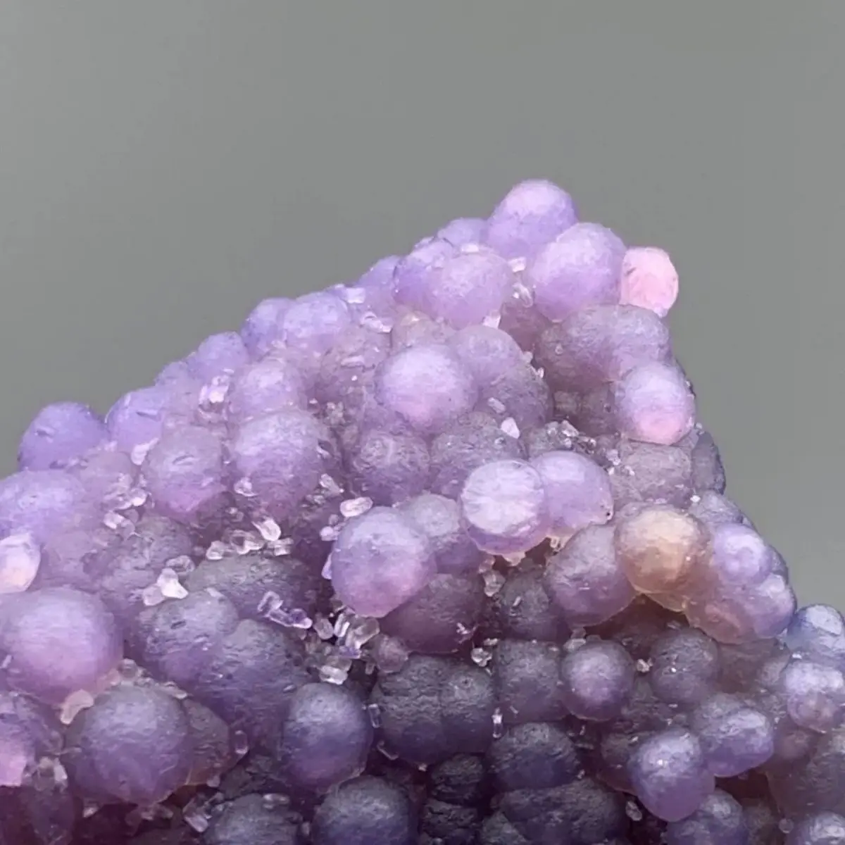 Inner Mongolia Alxa Raw Stone Grape Agate Stone Raw Stone Pearlescent Jade Beautiful Color Collection Display Aquarium Landscape