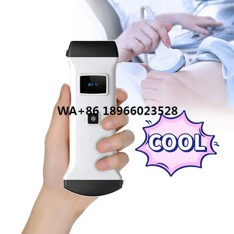 Medical Handheld Usb Double Head 3 in 1 Color Doppler Portable Wifi Wireless Ultrasound Convex Probe