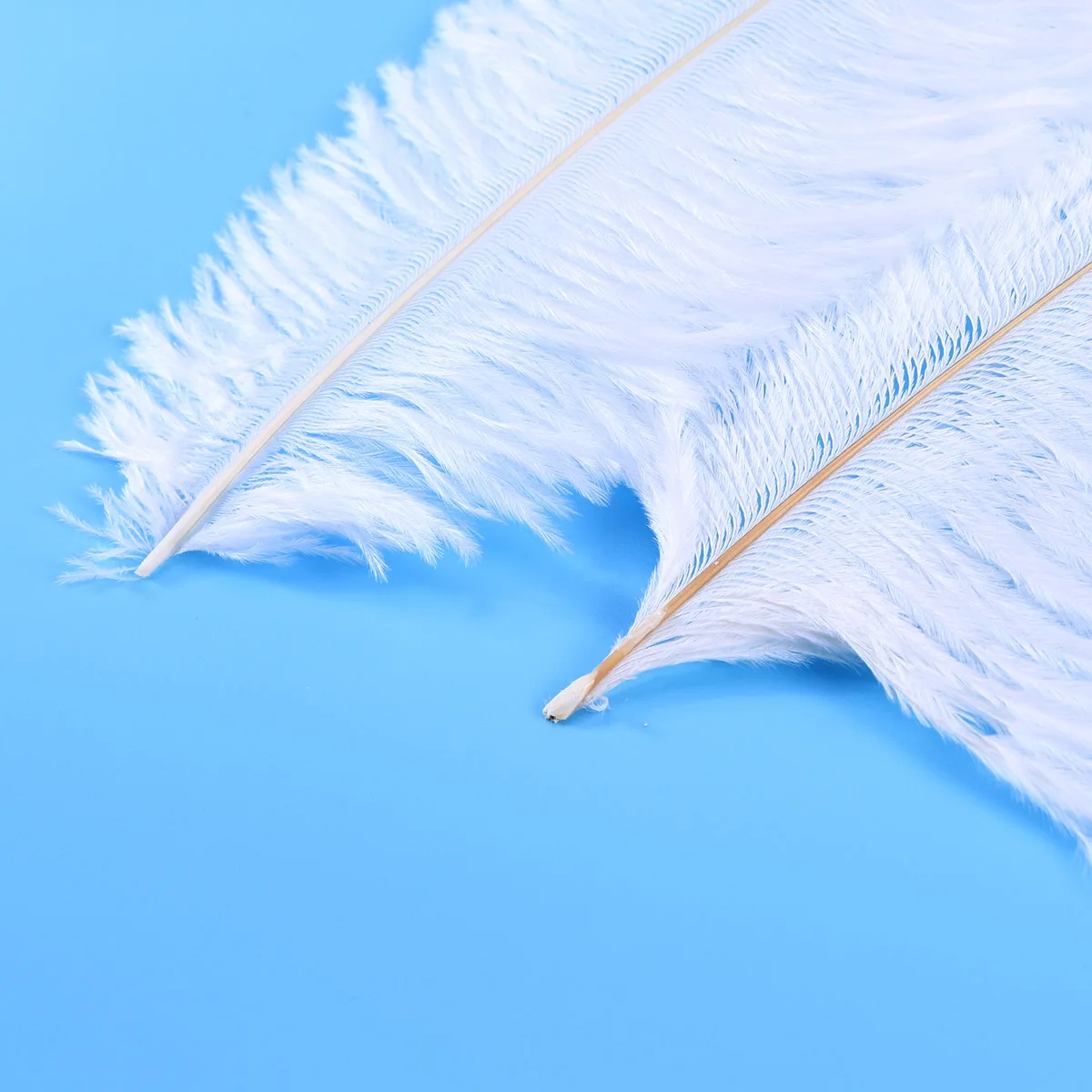 

10pcs White Ostrich Craft Wedding Party Home Decoration Diy Centerpieces Natural Trim Decoration Supplies