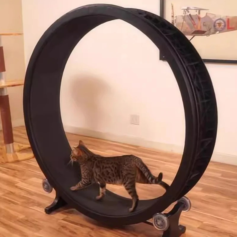 Cat Toys PVC Big Wheel Small Cat Treadmill Pet Training Cat Scratcher Tunnel Pet Toy Game Silent Cats Accessories for Home