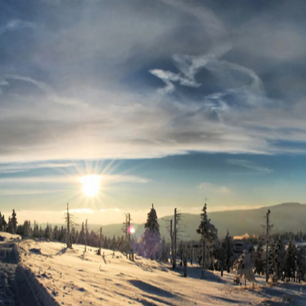 

Перманентные экологически чипы Max для Roland SP300 SP500 BN-20, чипы автоматического сброса, 4 цвета