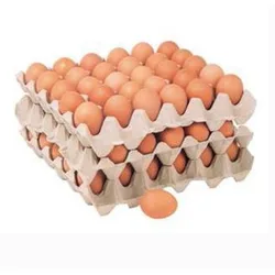 Factory Sale Small Egg Tray Making Machine Price in India  / Manual Egg Tray Machine