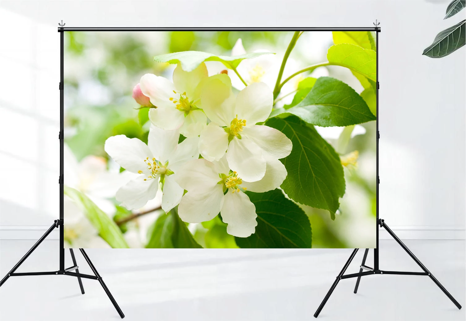 Pear blossom, pink flower, sunshine, romantic flower, natural scenery, wedding, children's and girls' birthday party decoration