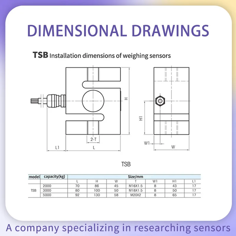 Mettler Toledo TSB S-Type Load Cell High Precision Tension Pressure Weighing Sensor IP67 Alloy Steel Force Gauge Dynamometer