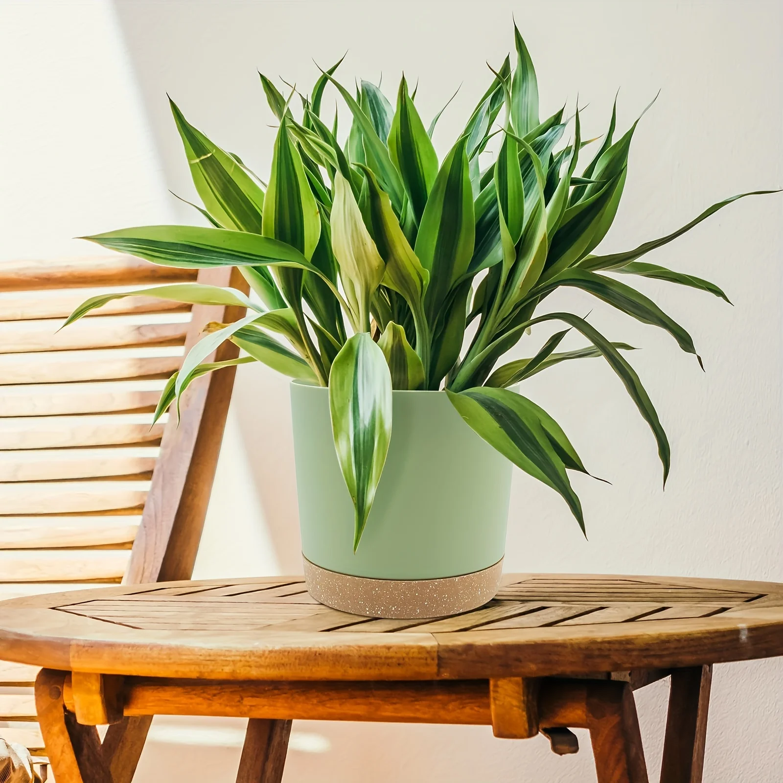 2 Stück 6,5-Zoll-Blumentöpfe mit abnehmbarem Boden, runder Blumentopf mit abnehmbarem Boden, für den Außenbereich, Garten, Heimbedarf – Detail 3