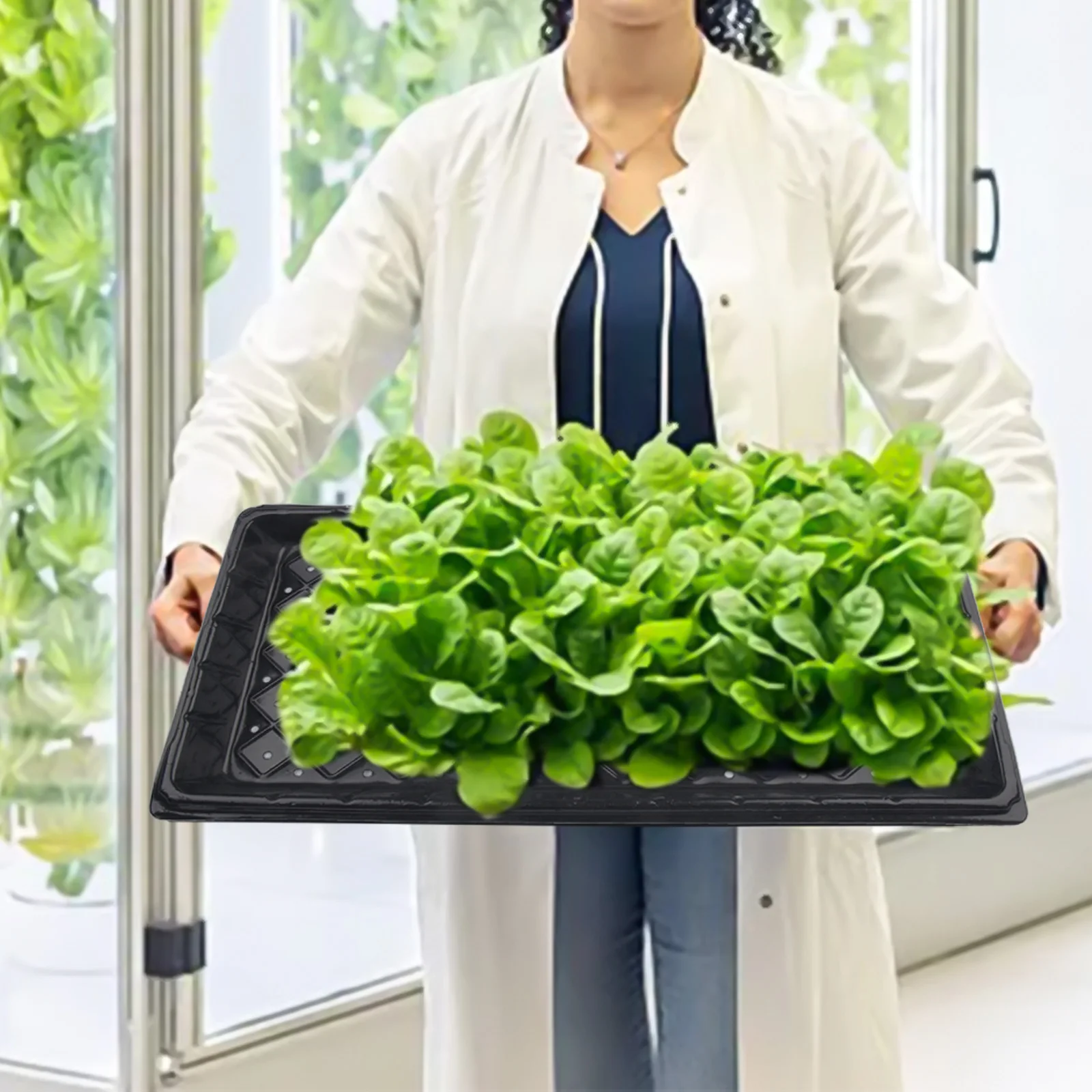 

Black 54 5 28 5 Cm Tray Growing Plate DIY Lightweight Plant Germination Compact Exquisite Plants Starter Study