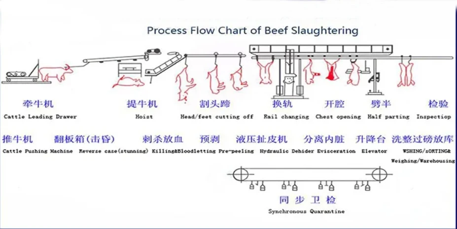 Halal Abattoir Cow Bull Slaughtering Machine for Beef Butcher Meat Process Plant Beef Slaughter House